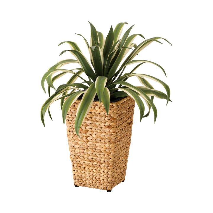 プランター角ハイタイプ