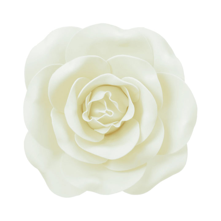 ローズヘッドデコS IVO