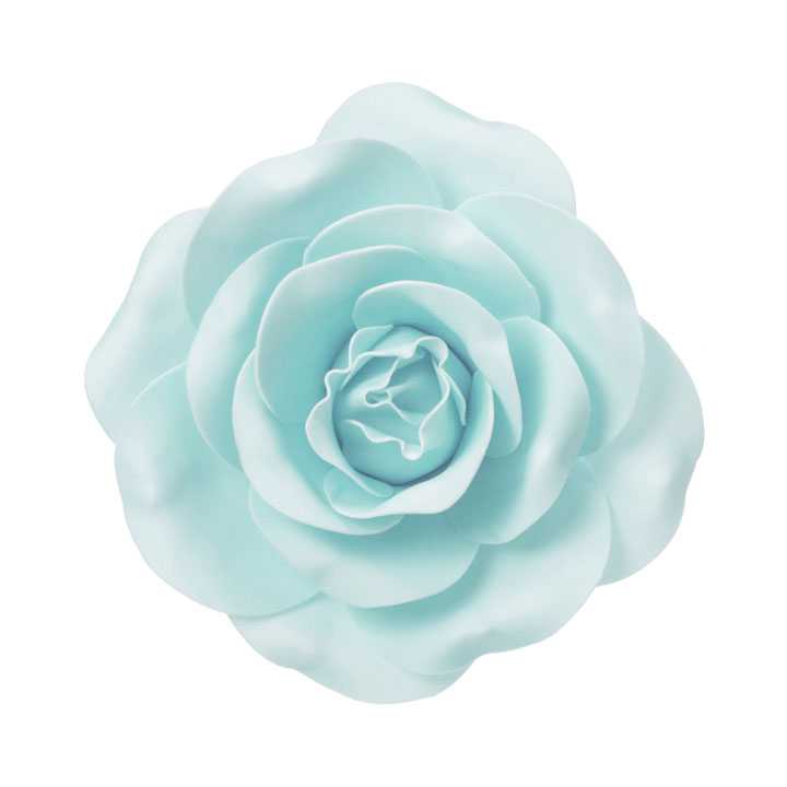 ローズヘッドデコS L/B