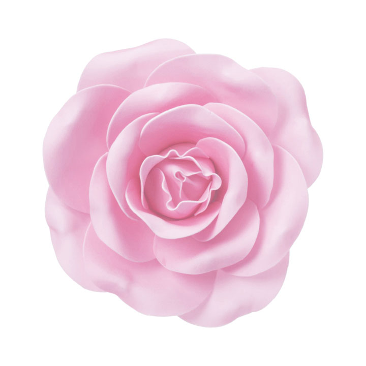 ローズヘッドデコS L/P