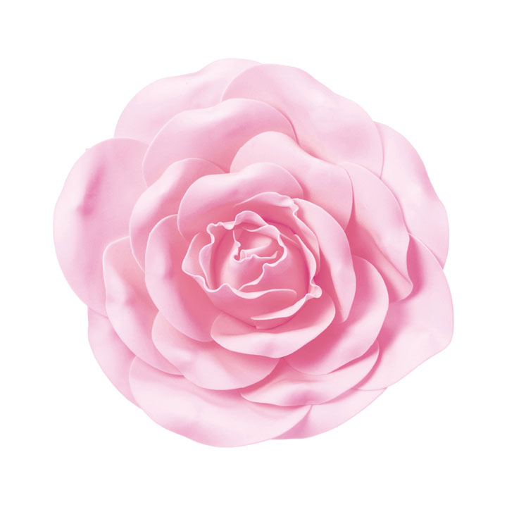 ローズヘッドデコM L/P