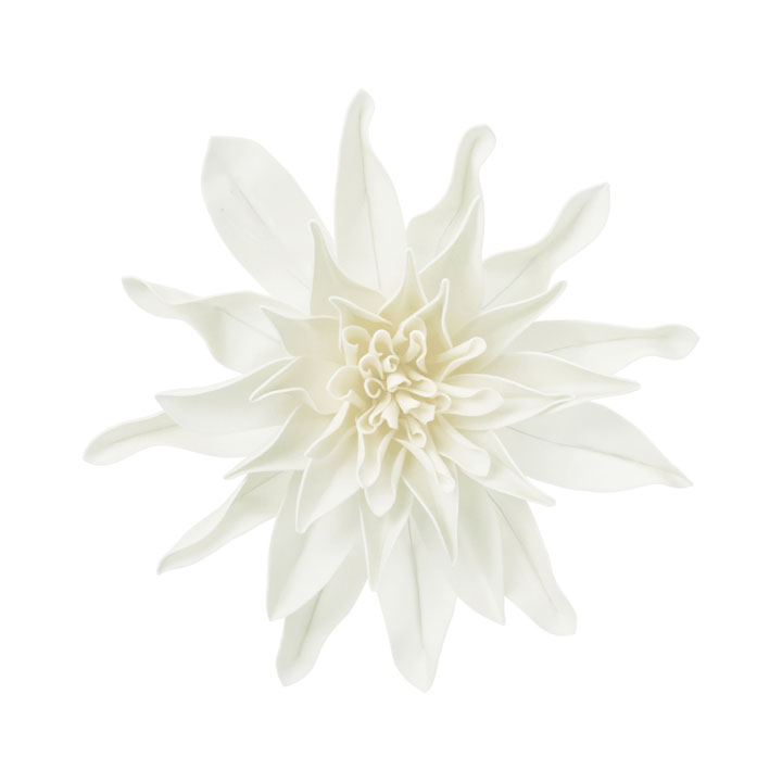 ダリアヘッドデコM IVO