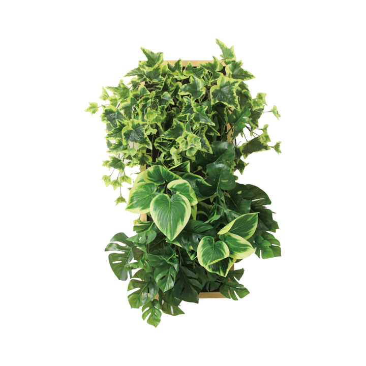 ロックフレームアレンジナチュラルA