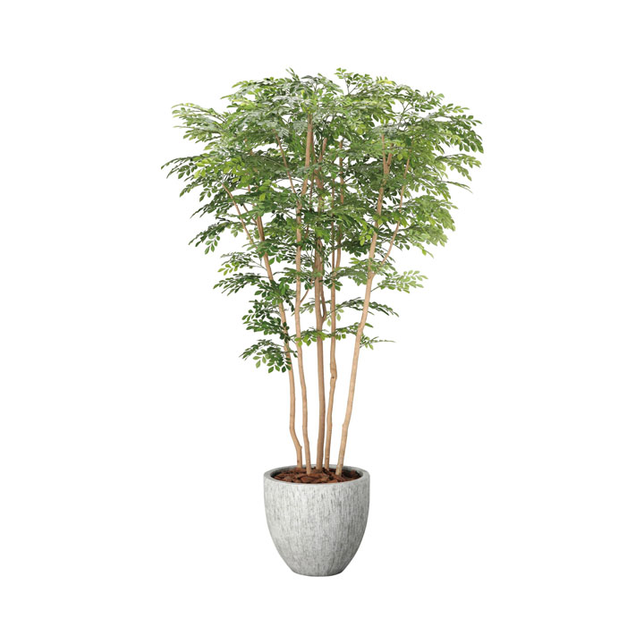 ナチュラルトネリコミックス2.3m（組立式）