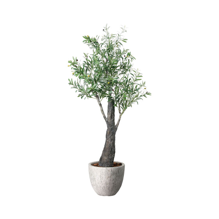 ナチュラルオリーブ1.7m