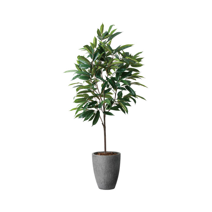 ショウナンゴム1.8m