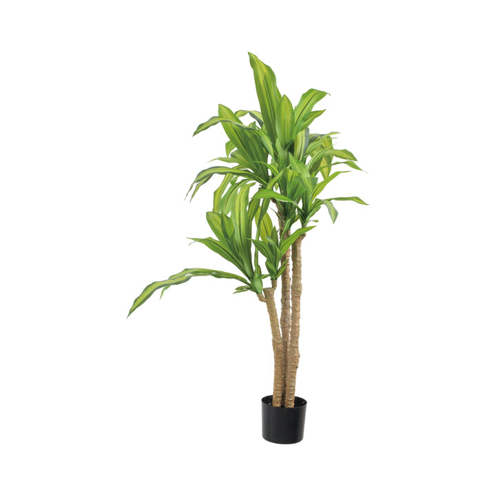 マッサンポットM