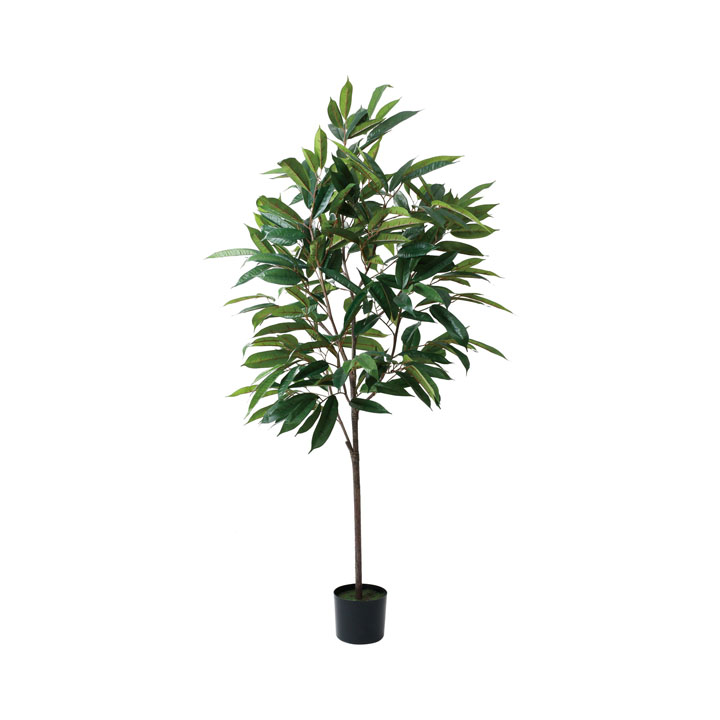 180cmショウナンゴム