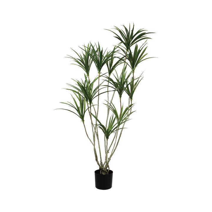 140cmドラセナポット