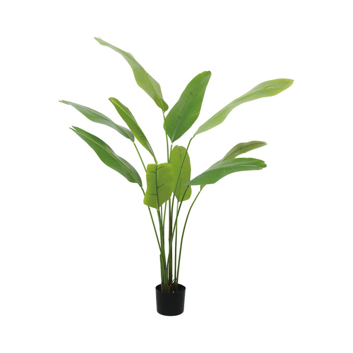 140cmトラベラーズパーム