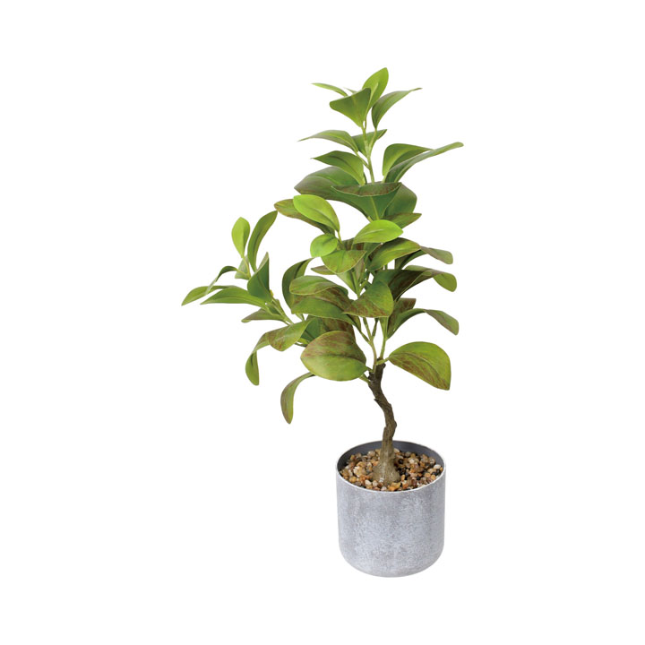 50cmリーフポット