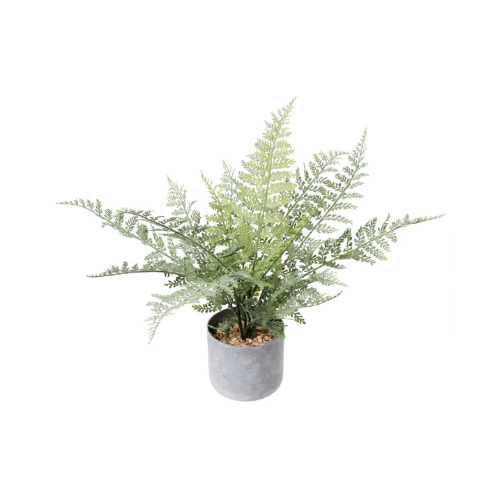 60cmシダーポット