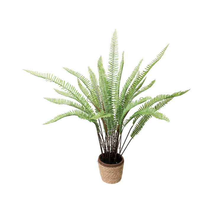 90cmシダーポット