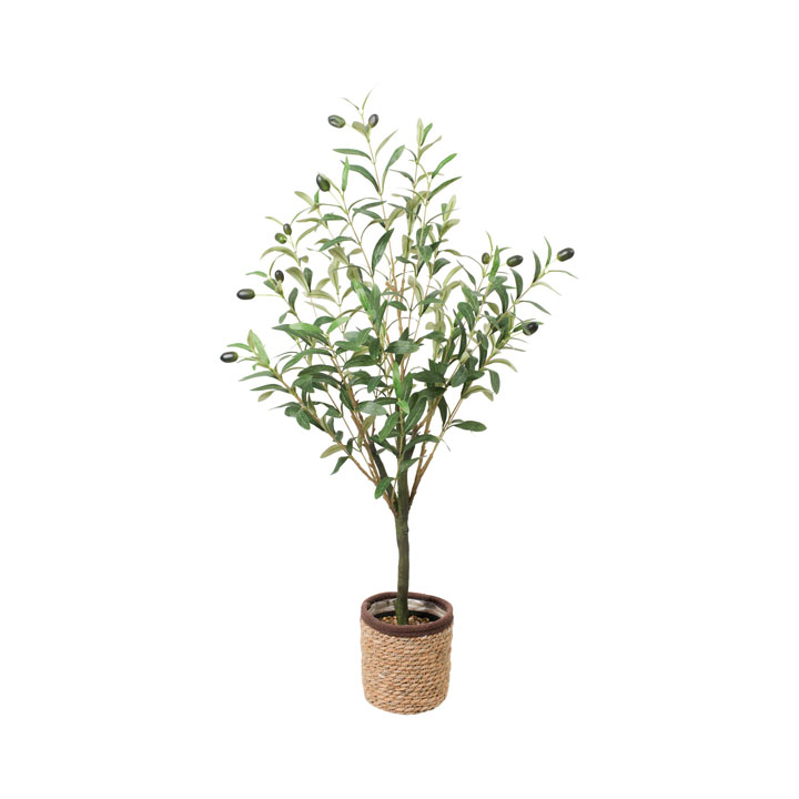 100cmオリーブポット