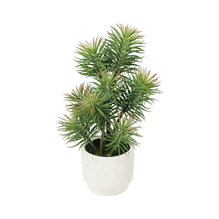 サーキュラントポット