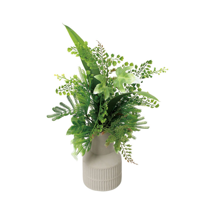 アジアンタムミックスアレンジM