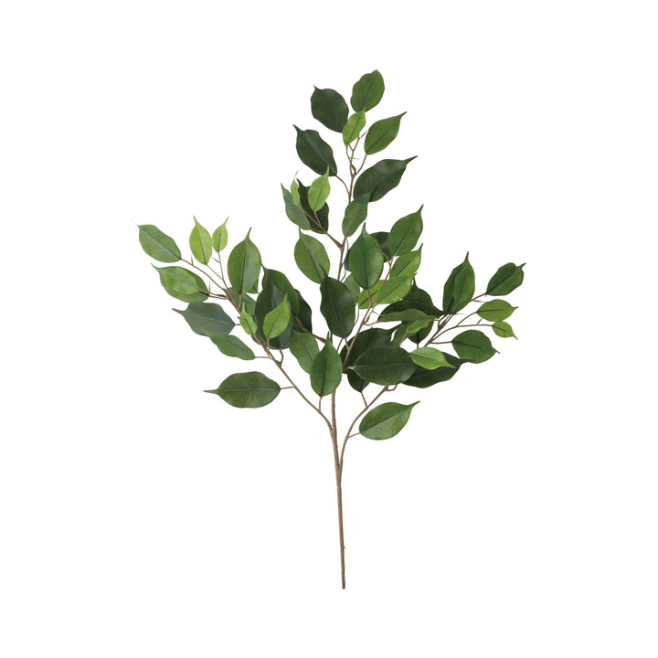 ベンジャミンリーフスプレー