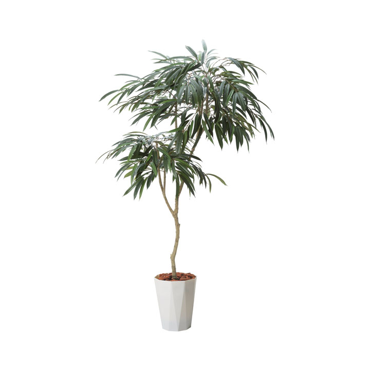 180cmショウナンゴムポット