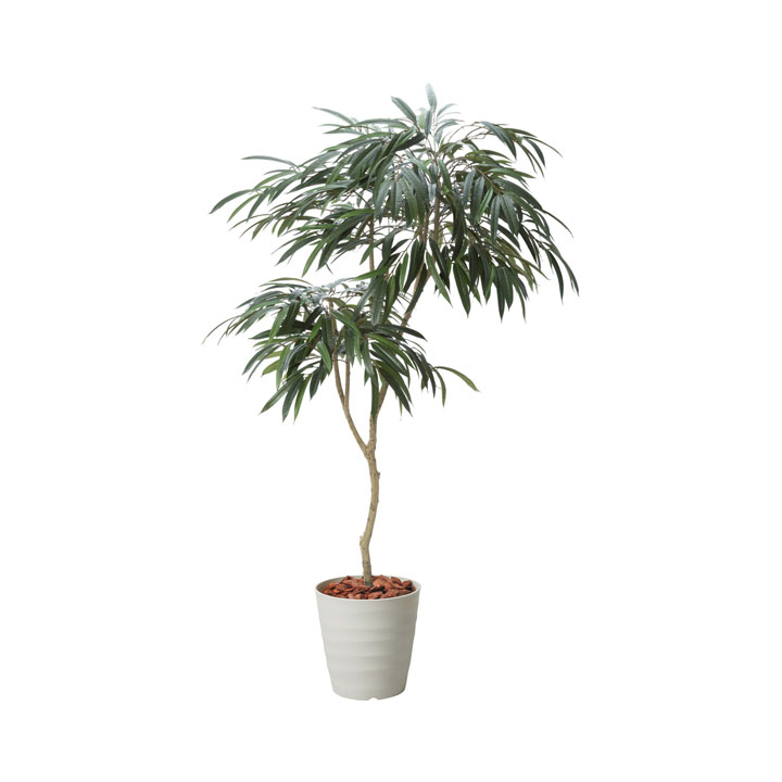 180cmショウナンゴムポット