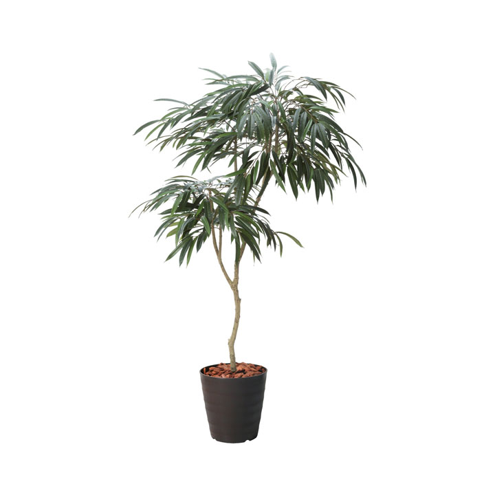 180cmショウナンゴムポット