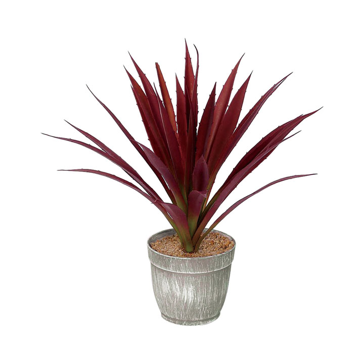 ロングアガべポット