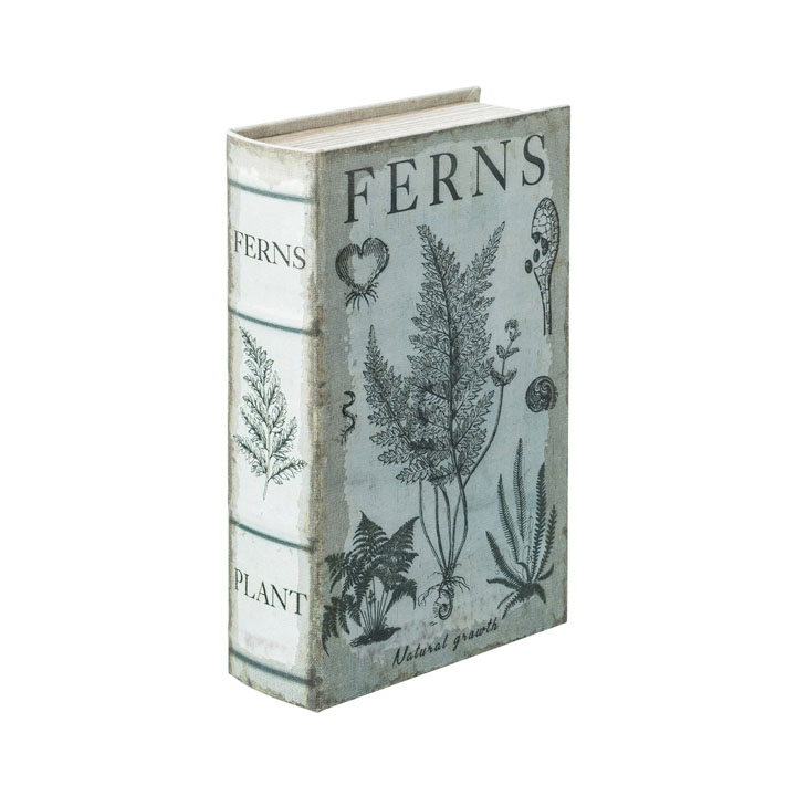 ブックケースファーン