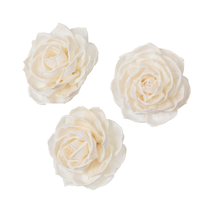 ソラパーツラナンキュラスM 無垢3P