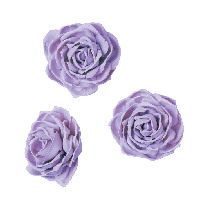 ソラパーツラナンキュラスM 紫3P