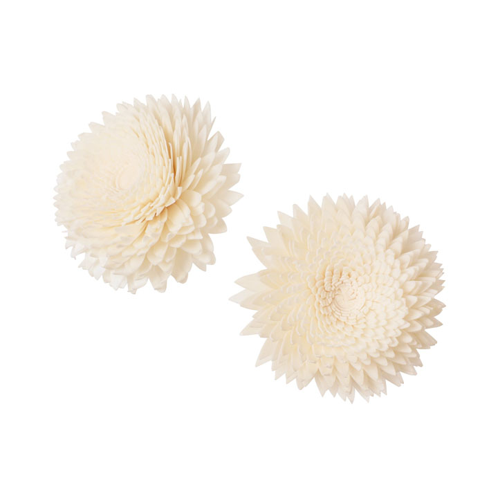 ソラパーツジニアL 無垢2P