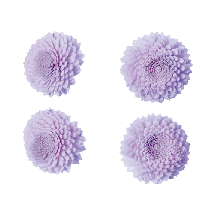 ソラパーツジニアS 紫4P