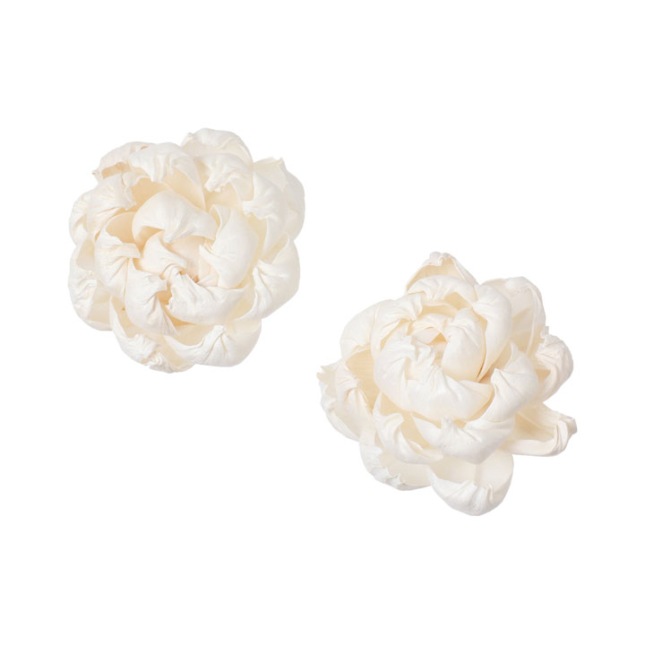 ソラパーツボタン 無垢2P