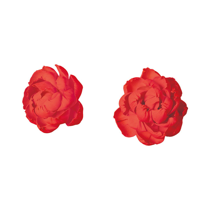 ソラパーツボタン 赤2P