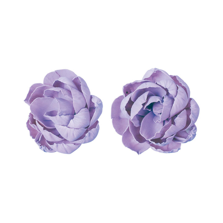 ソラパーツボタン 紫2P