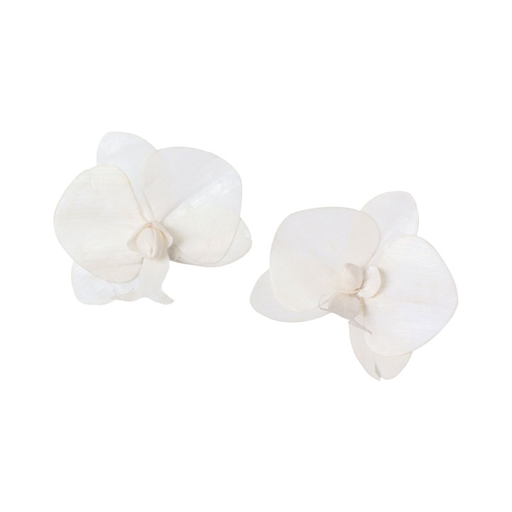 ソラパーツコチョウラン 無垢2P