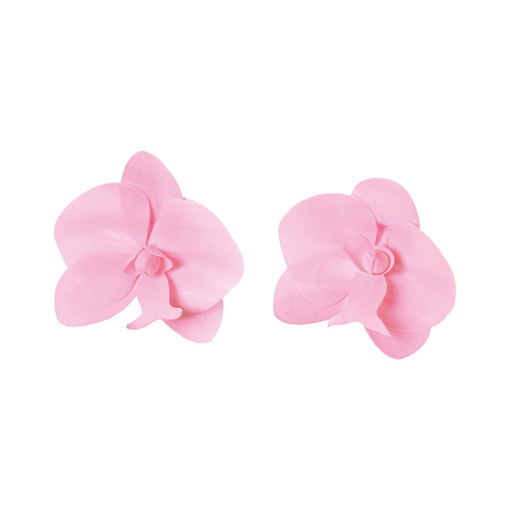 ソラパーツコチョウラン 桃2P