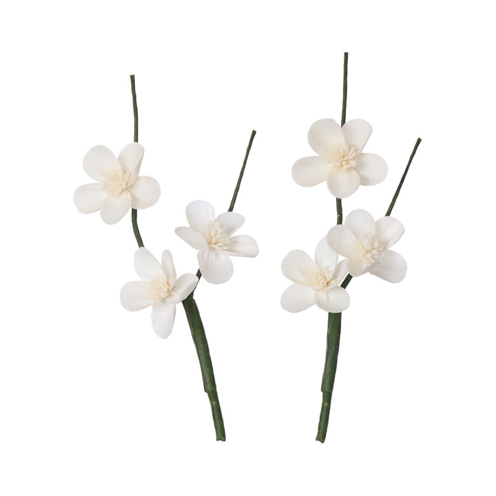 ソラパーツウメ 無垢2P