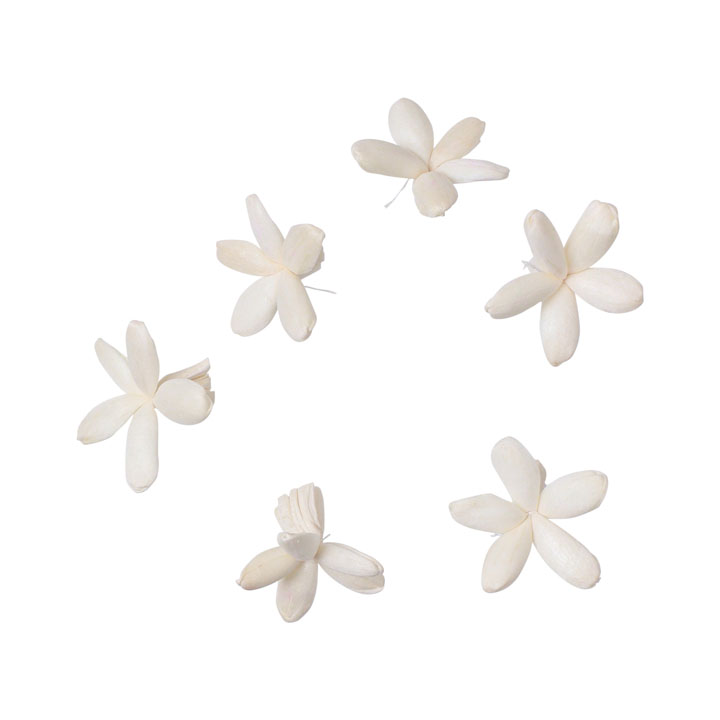 ソラパーツコバナ 無垢6P