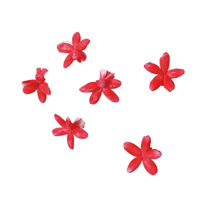 ソラパーツコバナ 赤6P