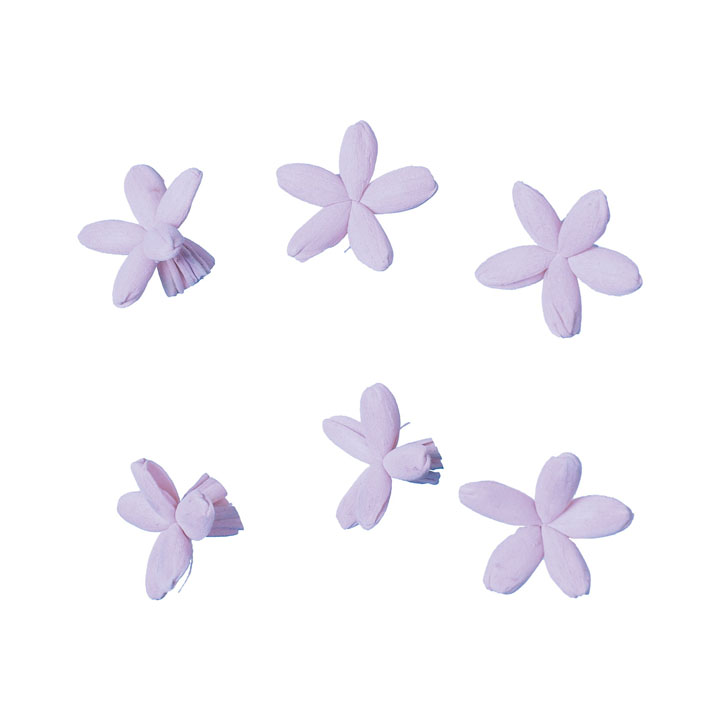 ソラパーツコバナ 紫6P