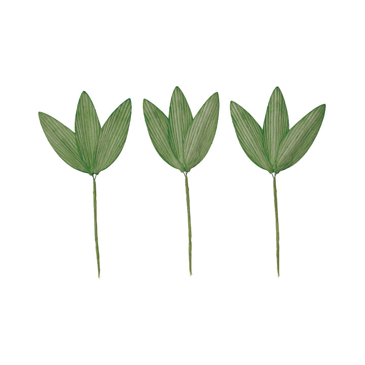 ソラパーツササノハS ミドリ3P