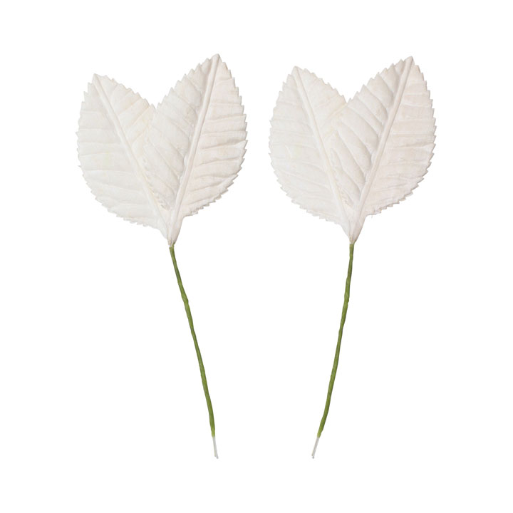 ソラパーツツバキノハ 無垢 2P