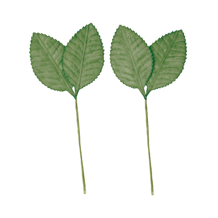 ソラパーツツバキノハ ミドリ 2P