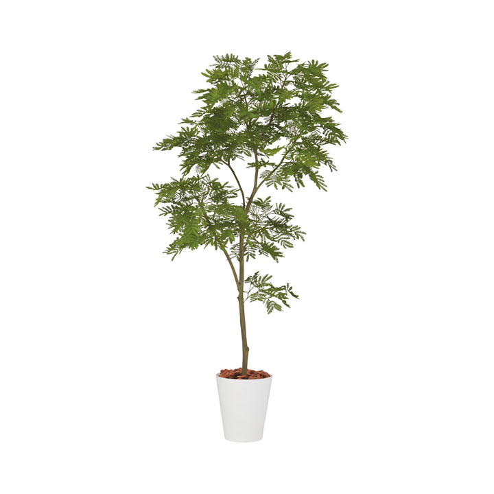 エバーフレッシュ1.8m