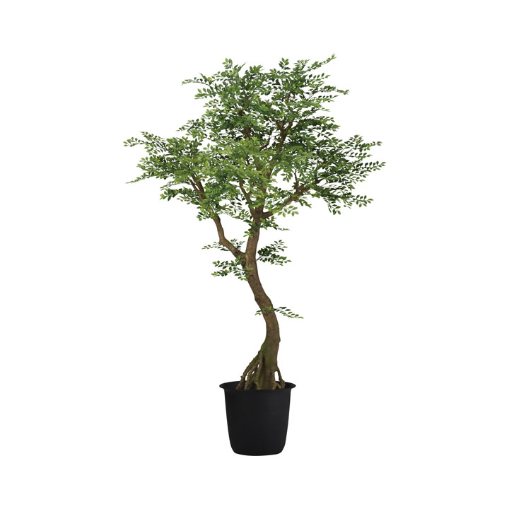 ゴールデンリーフコアッド2.3m