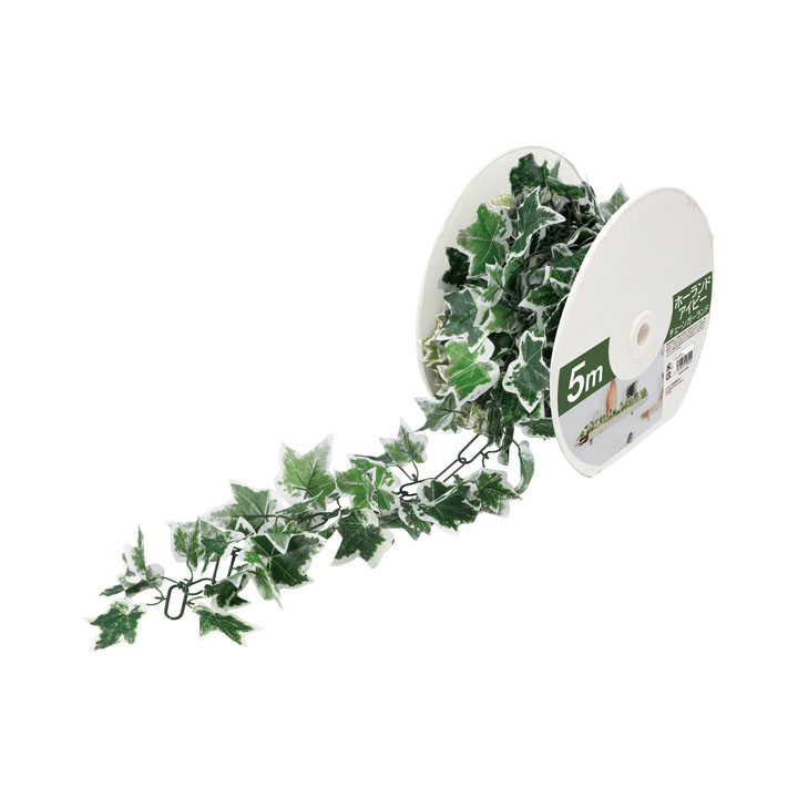 ホーランドアイビーチェーン（5m）