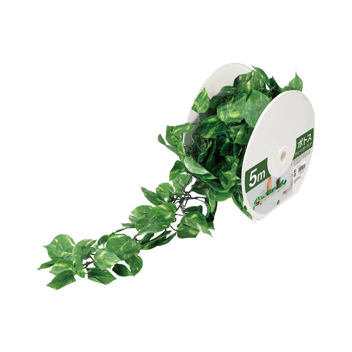 ポトスチェーン（5m）