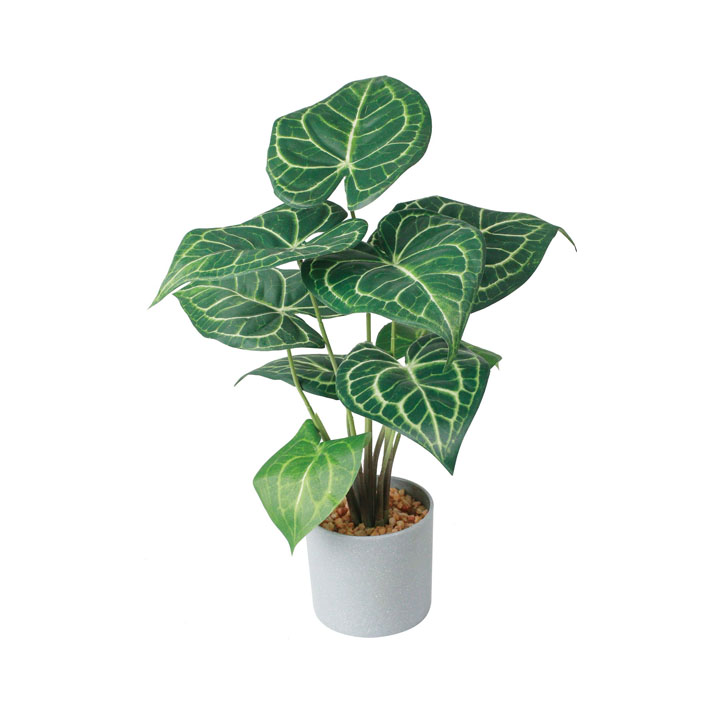 クラリネルビウムセメントポット