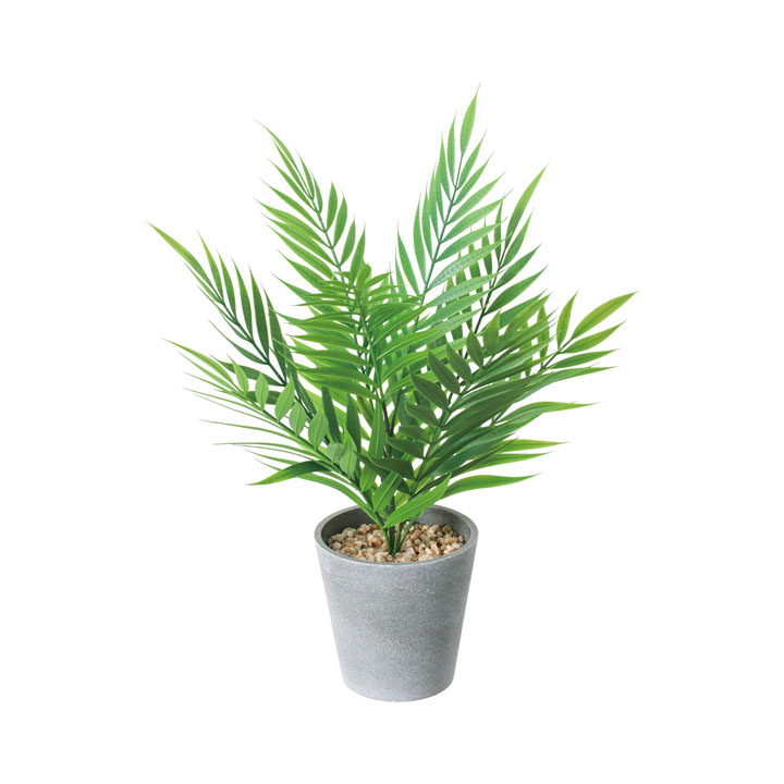 テーブルヤシポット