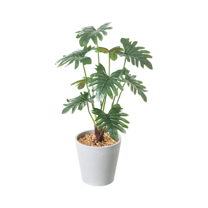 セロームポット