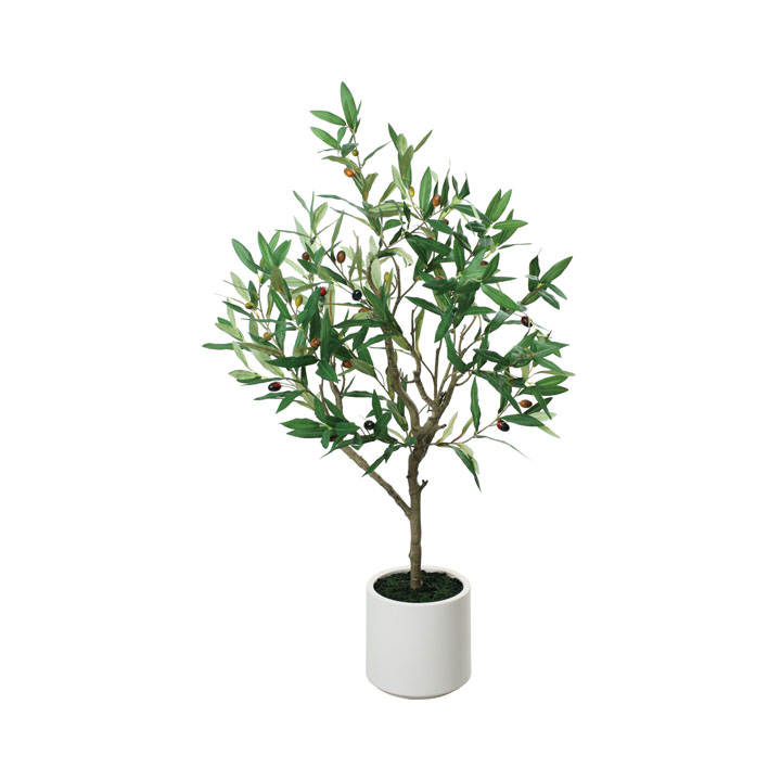 オリーブポット